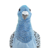 Pigeon Soft Toy